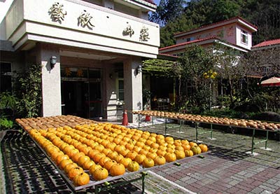 1476231224522112.jpg ysen.jpg