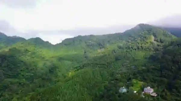 南庄雲山不知處