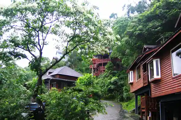 油桐花之美(季節性)