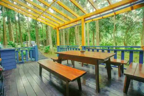 戶外景觀陽台與山林綠景