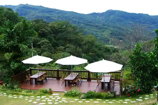 景觀陽台看山林之美