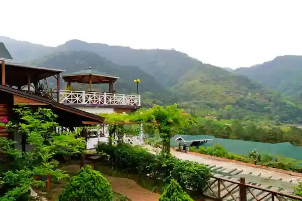 園區與環繞的山林美景