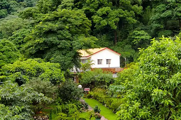 山林間的山居蘭園