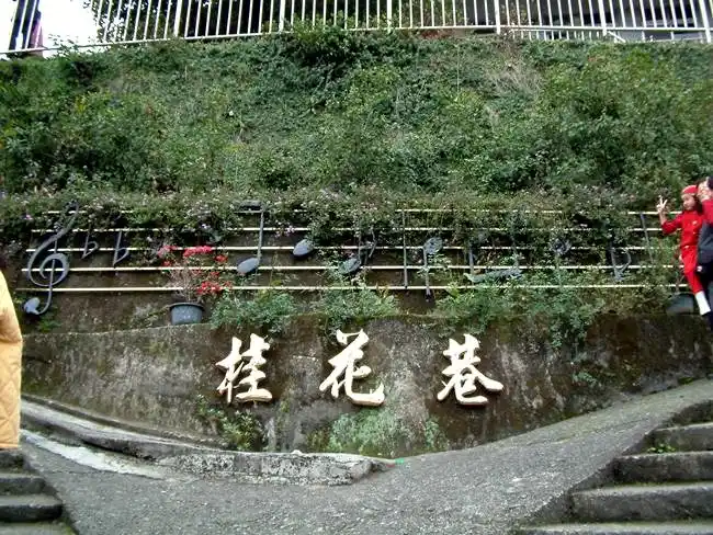 桂花巷原是一條無名巷，因臨時市場內的一家麵攤搬進巷內營業後，進出的人才開始增加，在民國76年左右一些公務人員常在此處聚會。並以桂花巷為暗號，如同我們通常說『老地方見』的意思。 南庄的社區活動為了擴大服務層面在民國85年成立了「南庄愛鄉協進會」。協會在民國89年執行文建會『桂花巷社區營造案』 所取的名字，不要憧憬以為南庄到處都是是桂花的香味。所以老街文化路的「桂花巷」不是因桂花得名。